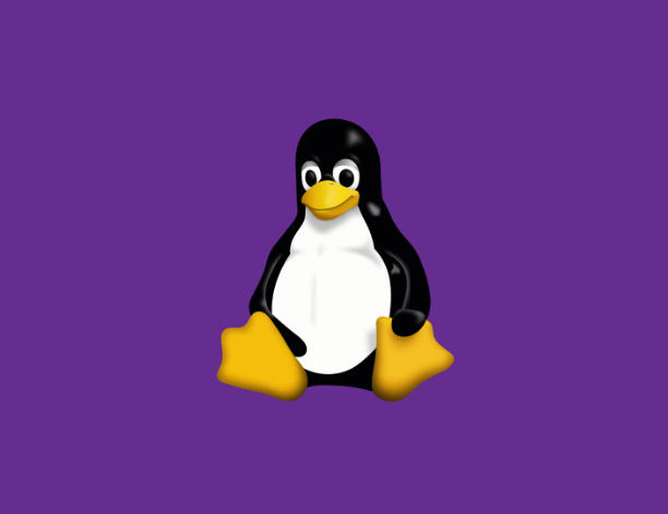 Celebrating 31 years of Linux